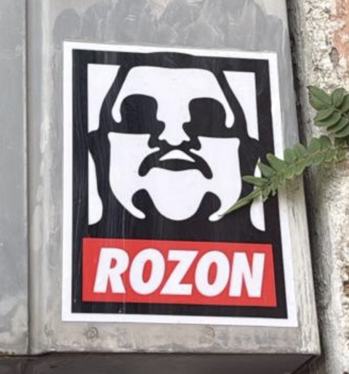 Rozon alternate